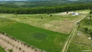  Teren intravilan 3.000 mp  Săldăbagiu de Munte,la doar 8 min de Oradea - imagine 4