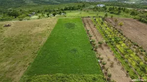  Teren intravilan 3.000 mp  Săldăbagiu de Munte,la doar 8 min de Oradea - imagine 3