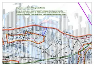 Teren 5754 mp în Oradea, intravilan, utilități la limită, front 60 ml - imagine 4