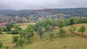 Casă de vacanta cu 6 camere de vanzare Suncuius - imagine 18