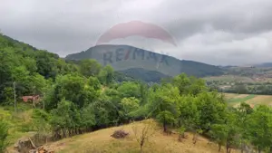 Casă de vacanta cu 6 camere de vanzare Suncuius - imagine 16