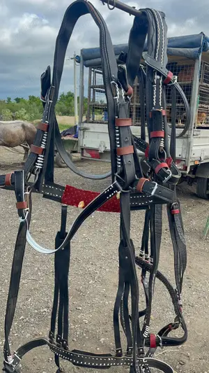 Hamuri din piele pentru cai - imagine 3