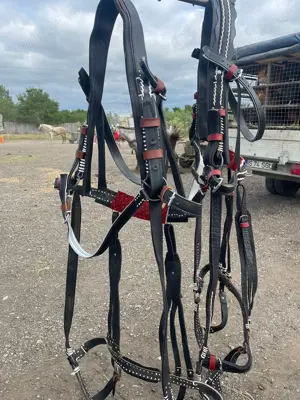 Hamuri din piele pentru cai - imagine 4