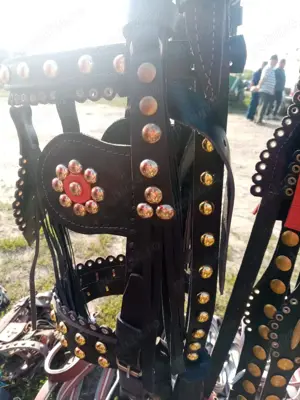 Hamuri din piele pentru cai - imagine 5