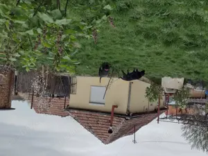 Casă la țară Șeica Mare - imagine 10