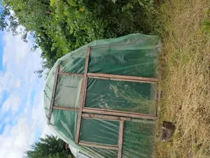 Casă la țară Șeica Mare - imagine 9