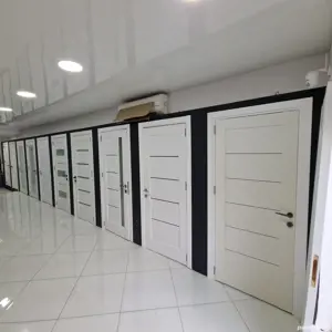 De la 600 roni! Usi de Interior Timișoara - imagine 2