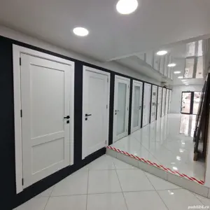 De la 600 roni! Usi de Interior Timișoara - imagine 4