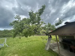 VAND CASUTA CU 3120 MP TEREN, SURDESTI BREAZA - imagine 4