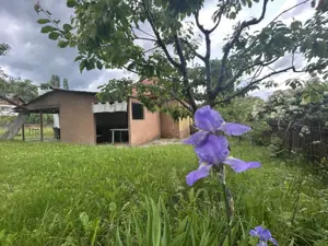 VAND CASUTA CU 3120 MP TEREN, SURDESTI BREAZA - imagine 10