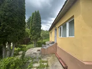 VAND CASUTA CU 3120 MP TEREN, SURDESTI BREAZA - imagine 3