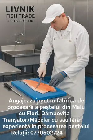 angajam macelar,angajam transator pentru peste ,angajam manipulant 