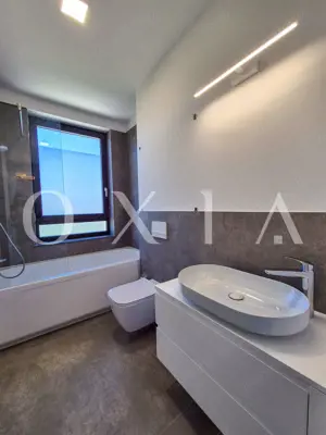 AX1067 Dumbravita, Mobilat&Utilat, Prima Inchiriere - imagine 8