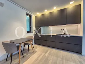 AX1067 Dumbravita, Mobilat&Utilat, Prima Inchiriere - imagine 4