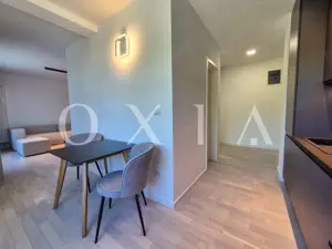 AX1068 Dumbravita, Bulevardul Petre Tutea, Prima Inchiriere - imagine 4