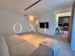 AX1068 Dumbravita, Bulevardul Petre Tutea, Prima Inchiriere - imagine 2