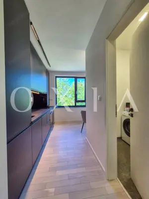 AX1068 Dumbravita, Bulevardul Petre Tutea, Prima Inchiriere - imagine 13