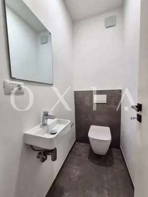 AX1068 Dumbravita, Bulevardul Petre Tutea, Prima Inchiriere - imagine 16