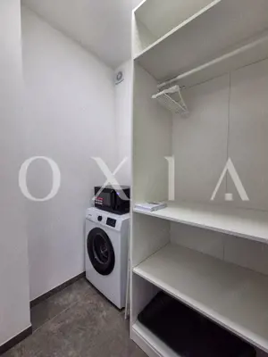 AX1068 Dumbravita, Bulevardul Petre Tutea, Prima Inchiriere - imagine 11