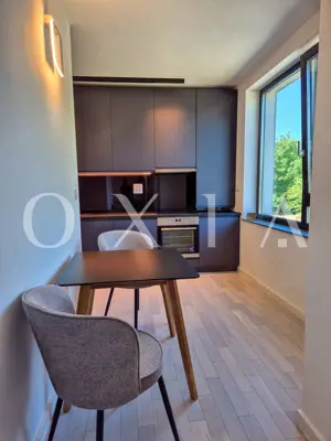 AX1068 Dumbravita, Bulevardul Petre Tutea, Prima Inchiriere - imagine 14