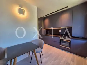 AX1068 Dumbravita, Bulevardul Petre Tutea, Prima Inchiriere - imagine 12