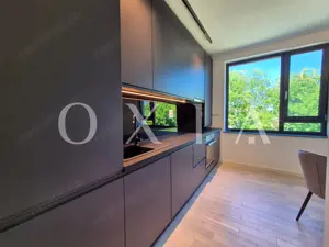 AX1068 Dumbravita, Bulevardul Petre Tutea, Prima Inchiriere - imagine 3