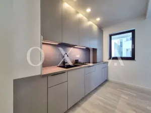 AX1066 Dumbravita, Prima Inchiriere, MobilatUtilat - imagine 3