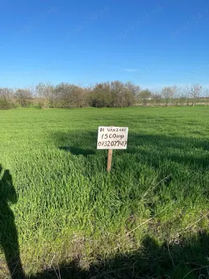 Teren intravilan de vânzare 1500mp în Vișini, judetul Calarasi - imagine 5 Teren intravilan de vânzare 1500mp în Vișini, judetul Calarasi - imagine 5