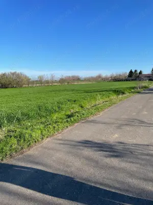 Teren intravilan de vânzare 1500mp în Vișini, judetul Calarasi - imagine 3 Teren intravilan de vânzare 1500mp în Vișini, judetul Calarasi - imagine 3