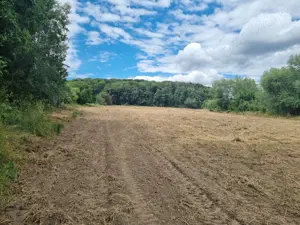 Teren intravilan + extravilan sat Racova, judet Bacau - imagine 2