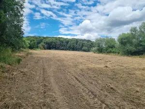 Teren intravilan + extravilan sat Racova, judet Bacau