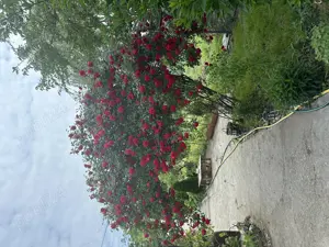 Casă de vănzare - imagine 13