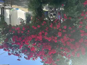 Casă de vănzare - imagine 12