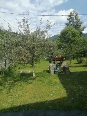Casa cu teren la Tarcau zona Cazaci - imagine 3 Casa cu teren la Tarcau zona Cazaci - imagine 3
