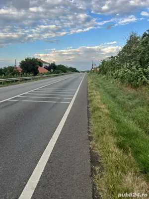 teren Pielesti, Dolj - imagine 2