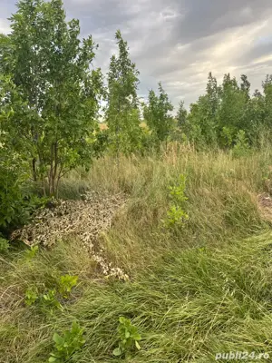 teren Pielesti, Dolj - imagine 3