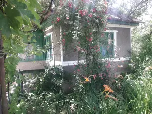 Vând casă in Piatra Neamț. - imagine 4