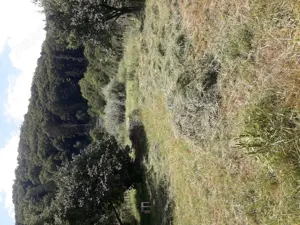 Vând casă in Piatra Neamț. - imagine 7