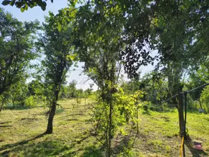 Vand Casa Buziaș  - imagine 7