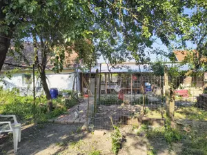 Vand Casa Buziaș  - imagine 4