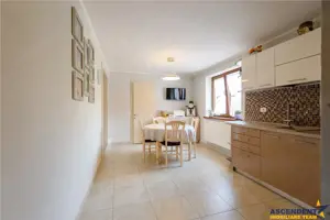 Resedinta cu:foisor,2 garaje, crama tip restaurant+garsoniera lux ... - imagine 4