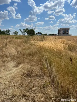 terenAlbesti! - imagine 4