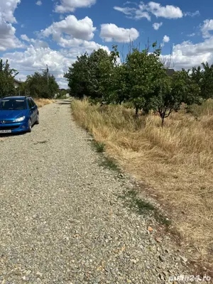 terenAlbesti! - imagine 7