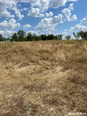 terenAlbesti! - imagine 5