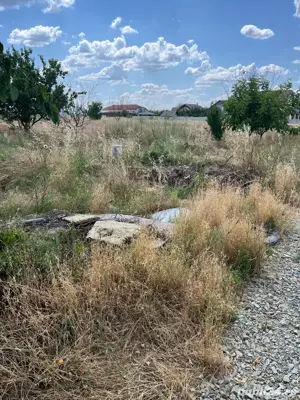 terenAlbesti! - imagine 3