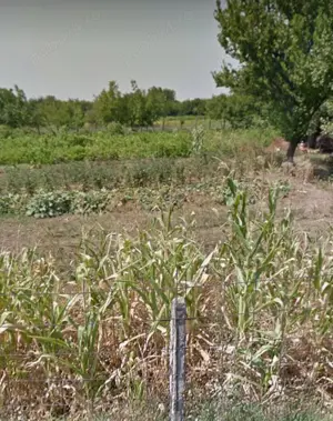 Teren intravilan Giurgiu 1100 mp, soseaua Ghizdarului, Miron Costin  - imagine 2