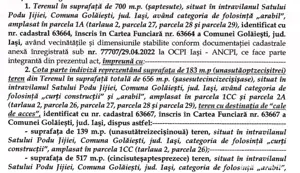 Teren 700 mp Golaesti + 183 mp cale acces - imagine 2