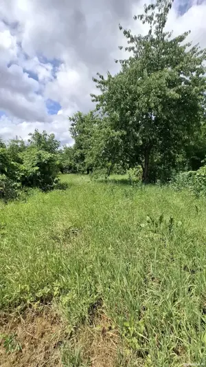 Casă spațioasă neterminată de vânzare   Voila, cu potențial turistic - imagine 2