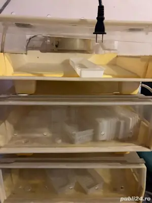 mini sera automata easygreen - imagine 2