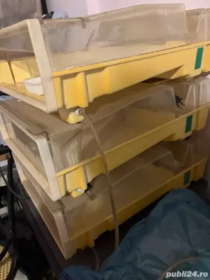 mini sera automata easygreen - imagine 3